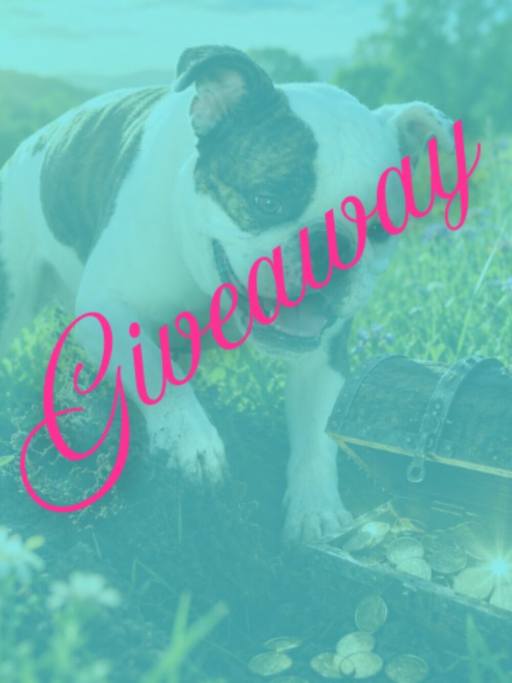 Giveaway